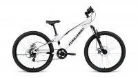 FORWARD RISE 24 2.0 disc (2021)