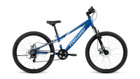 FORWARD RISE 24 2.0 disc (2021)