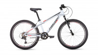 FORWARD TWISTER 24 1.0 (2019)
