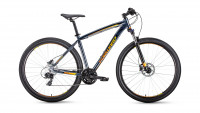 FORWARD NEXT 29 3.0 disc (2019)