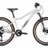 Велосипед HAGEN Teen Pro 20 AIR 1x9 Алюминий матовый 3XS (12)