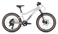 Велосипед HAGEN Teen Pro 20 AIR 1x9 Алюминий матовый 3XS (12)